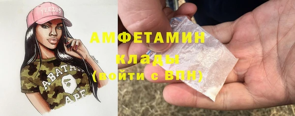 прущие грибы Балабаново