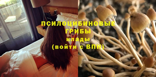 кристаллы Белокуриха