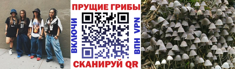 Галлюциногенные грибы Magic Shrooms  KRAKEN зеркало  Гаврилов-Ям 
